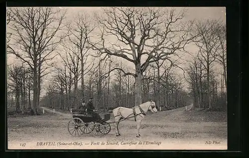 AK Draveil, Forêt de Senard