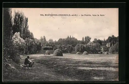 AK Crosnes, La Prairie, face la Gare