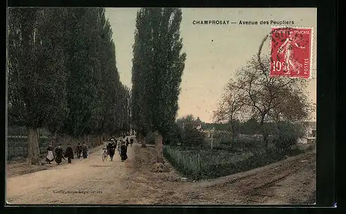 AK Champrosay, Avenue des Peupliers