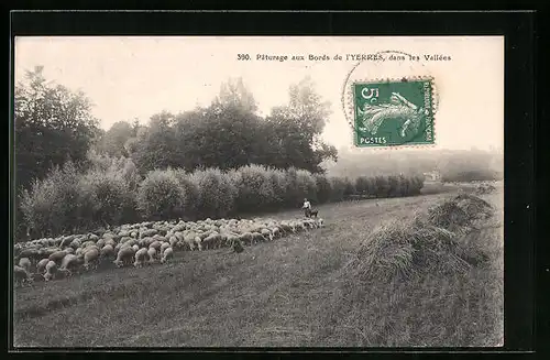 AK Yerres, Pâturage aux Bords de l`Yerres dans les Vallées