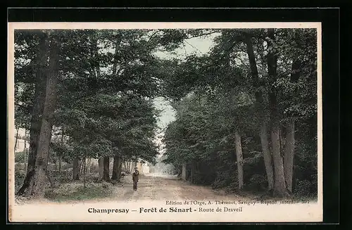 AK Champrosay, Forêt de Sénart, Route de Draveil