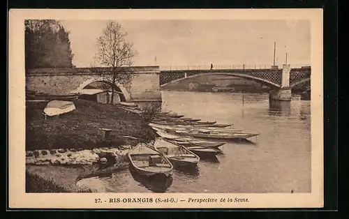 AK Ris-Orangis, Perspective de la Seine