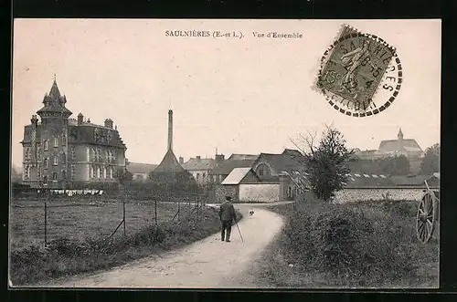 AK Saulnières, Vue d`Ensemble