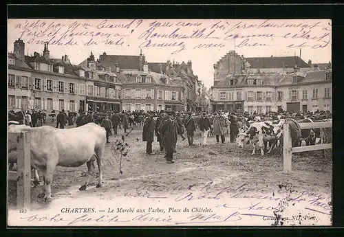 AK Chartres, Le Marché aux Vaches, Place du Châtelet