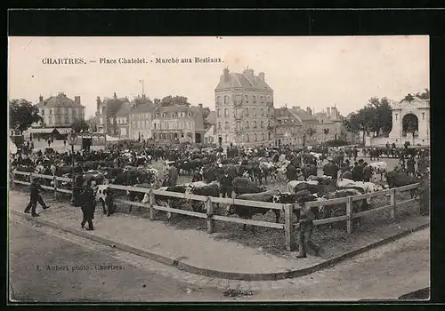 AK Chartres, Place Chatelet, Marché aux Bestiaux