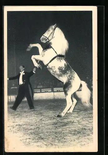 AK Oural, cheval cabreur, Dompteur im Zirkus