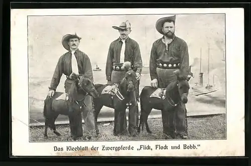 AK Zirkus-Zwergpferde Flick, Flock und Bobb