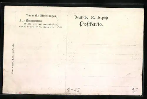 AK Zirkus-Zwergpferde Flick, Flock und Bobb