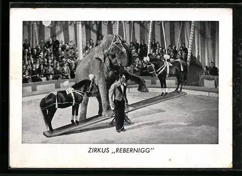 AK Zirkus Rebernigg, Dressur mit Elefant und Pferden
