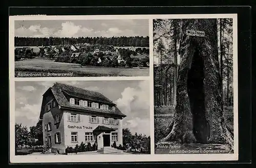 AK Kälberbronn /Schwarzwald, Gasthaus zur Traube, Hohle Tanne, Ortsansicht