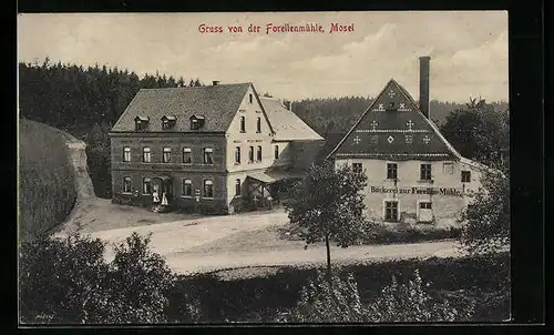 AK Mosel, Gasthaus und Bäckerei zur Forellenmühle