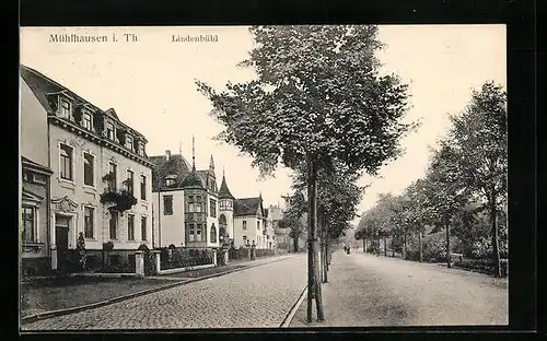 AK Mühlhausen i. Th., Strasse Lindenbühl mit Bäumen