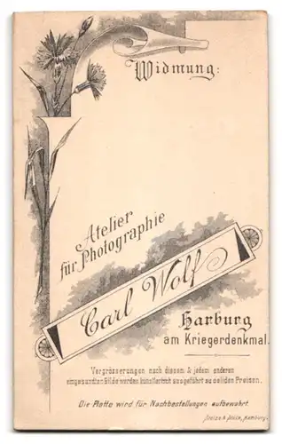 Fotografie Carl Wolf, Harburg, Junge Dame im hübschen Kleid