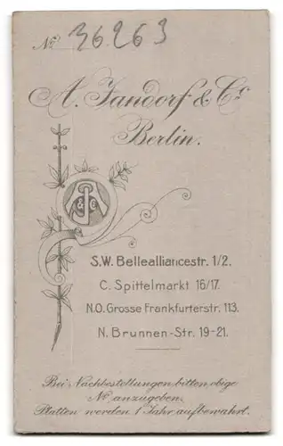 Fotografie A. Jandorf & Co., Berlin-SW, Bellealliancestr. 1-2, Junge Dame im Kleid mit einem Büchlein