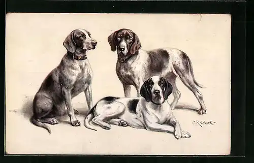 Künstler-AK Carl Reichert: Drei Deutsche Kurzhaare