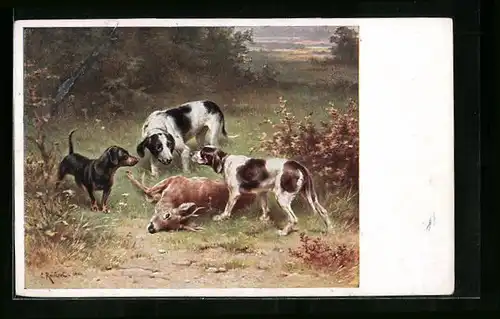Künstler-AK Carl Reichert: Jagdhunde mit erlegtem Rehbock