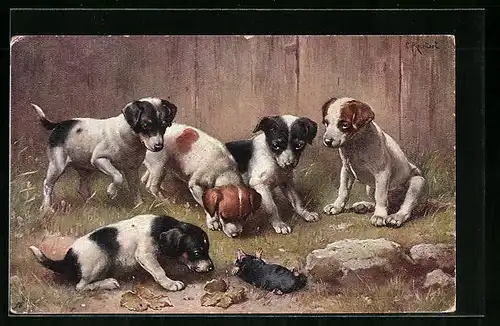 Künstler-AK Carl Reichert: Hundewelpen inspizieren einen auf dem Rücken liegenden Maulwurf