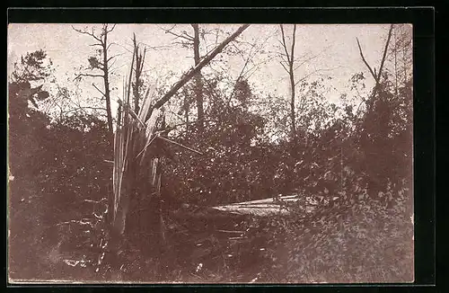 AK Plochingen, Unwetter im Plochinger Wald am 1. Juni 1913