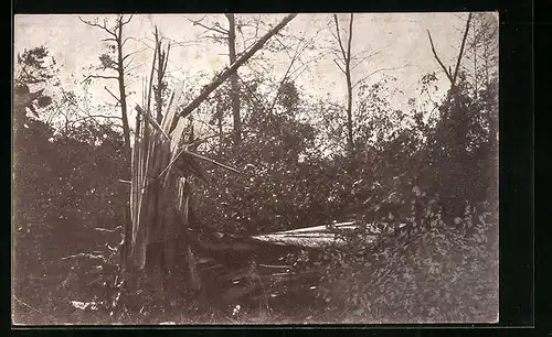 AK Plochingen, Unwetter im Plochinger Wald am 1. Juni 1913