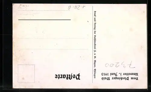 AK Plochingen, Unwetter im Plochinger Wald am 1. Juni 1913