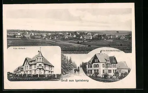 AK Igelsberg, Villa Girbach, Villa Schultheiss Kappler
