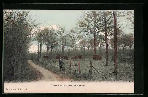 AK Draveil, La Foret de Senard