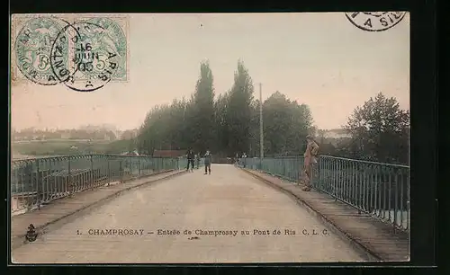 AK Champrosay, Entree de Champrosay au Pont de Ris