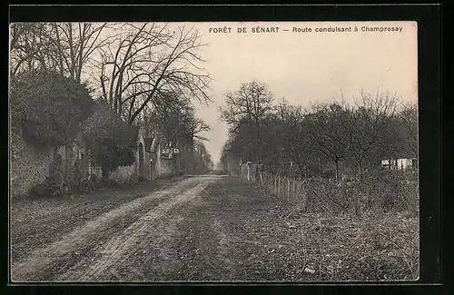 AK Foret de Sénart, Route conduisant a Champrosay