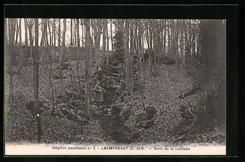 AK Champrosay, Hopital auxiliaire, Amis de la solitude