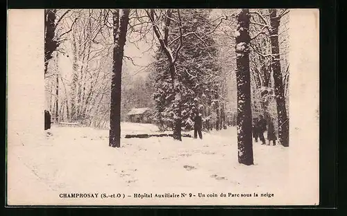 AK Champrosay, Hopital auxiliaire, un coin du Parc sous la neige