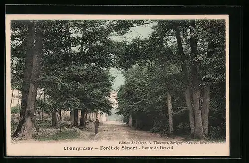 AK Champrosay - Foret de Sénart, Route de Draveil