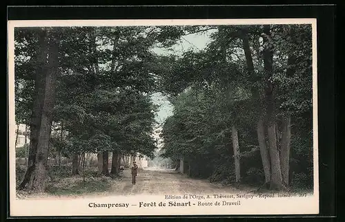 AK Champrosay - Foret de Sénart, Route Draveil