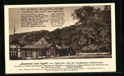 AK Uglei-See, Gasthaus zum Uglei mit 600jähriger Rieseneiche