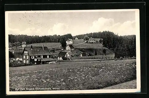 AK Kniebis, Auf dem Kniebis