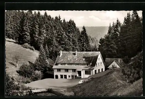 AK Besenfeld, Haus umgeben von Wald
