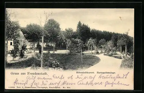 AK Freudenstadt, Hartranftsanlage