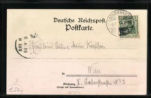 Lithographie Schönberg i. V., Gasthof zum Kapellenberg, Panorama