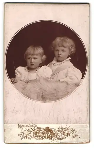 Fotografie Curt Dorn, Kamenz, Oststrasse, Zwei blonde Kinder auf einem Fell