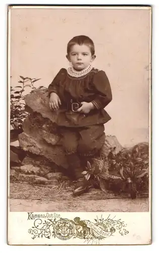 Fotografie C. Born, Kamenz, Ost Strasse, Kleiner Junge im Anzug mit Gürtel