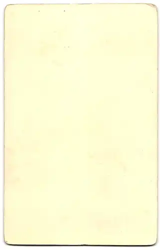Fotografie E. Boettcher, Leipzig, Promenade, Bürgerliche Dame und drei junge Frauen in hübschen Kleidern