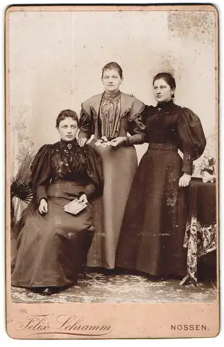 Fotografie Felix Schramm, Nossen, Drei junge Damen in Kleidern mit Buch