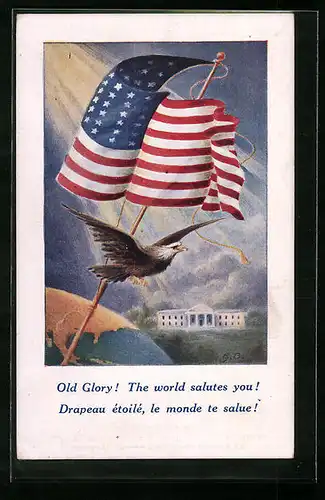 Künstler-AK USA, Flagge und Adler
