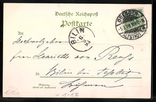 Lithographie Dresden, König Alberts von Sachsen, Teilansicht der Stadt