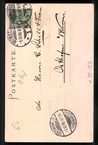 Passepartout-Lithographie Mainz, Domansicht von Westen, Wappen