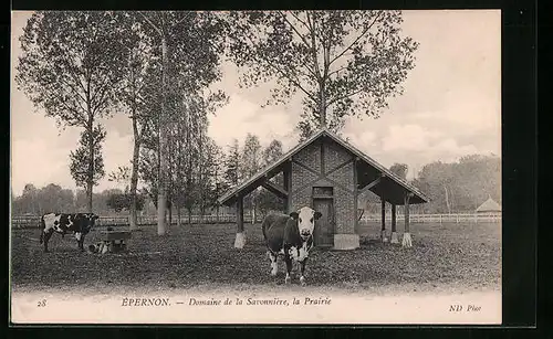 AK Épernon, Domaine de la Savonniere, la Prairie