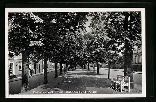 AK Ballenstedt /Harz, Strassenpartie der Hindenburg-Allee
