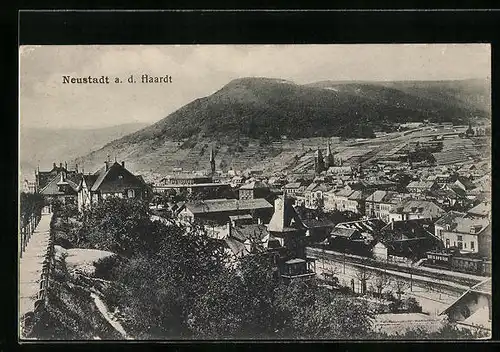 AK Neustadt /Haardt, Totalansicht mit Kirchen