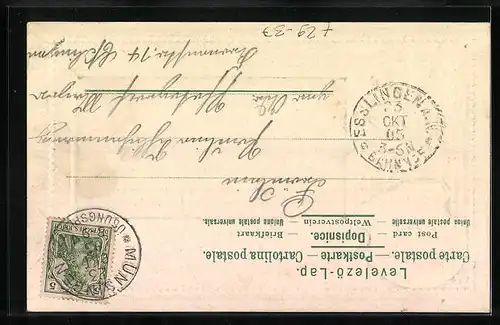 Passepartout-Lithographie Münsingen, Totalansicht, Wappen