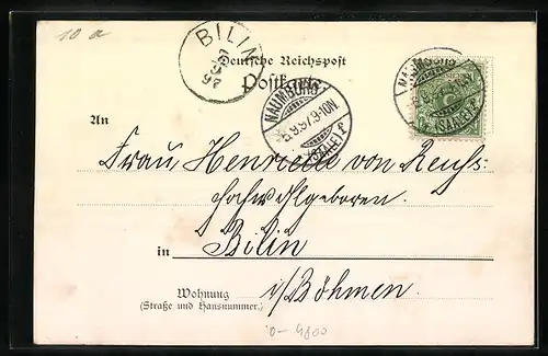 Lithographie Naumburg a. S., Rathaus, Kriegerdenkmal, Dom, Totalansicht