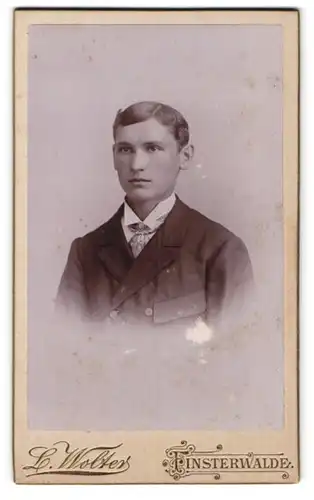 Fotografie L. Wolter, Finsterwalde, Grabenstr. 4 Eingang Schulstr., Junger Herr im Anzug mit Krawatte
